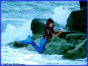 Sea_Siren_4_-_Small.jpg